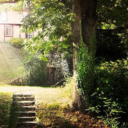 Vendégház Diana 3*